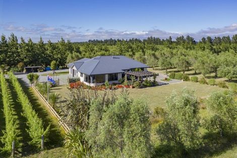 Photo of property in 323 Georges Road, Glasnevin, Amberley, 7482