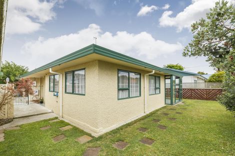 Photo of property in 24a Windsor Street, Terrace End, Palmerston North, 4410