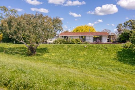 Photo of property in 493 Ruahine Street, Terrace End, Palmerston North, 4410