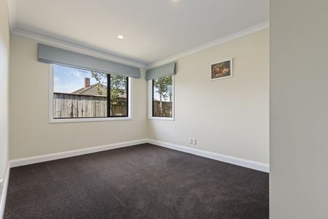 Photo of property in 132a Ferguson Street, West End, Palmerston North, 4412