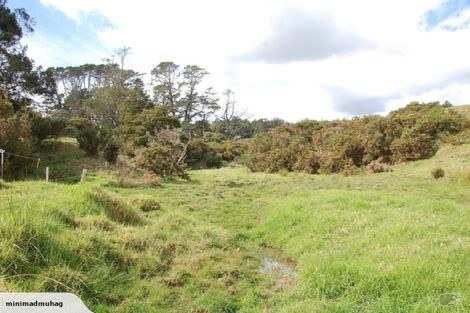 Photo of property in 229 Settlement Road, Kaiwaka, 0573