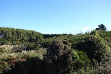 Photo of property in 782 Haldane Curio Bay Road, Curio Bay, Tokanui, 9884