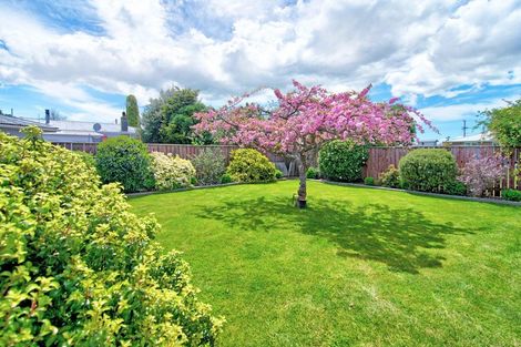 Photo of property in 44 Fleet Street, Solway, Masterton, 5810