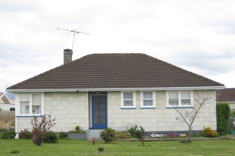 Photo of property in 28 Pitchill Street, Mayfield, Blenheim, 7201