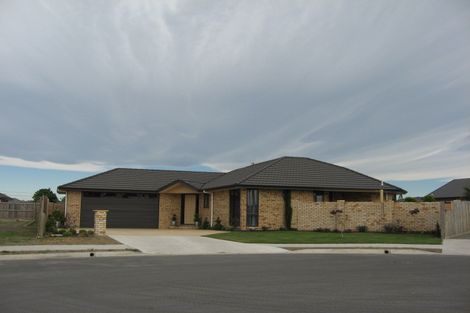 Photo of property in 17 Hitaua Place, Redwoodtown, Blenheim, 7201