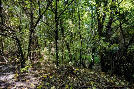 Photo of property in 50 Oberon Street, Stratford, 4332