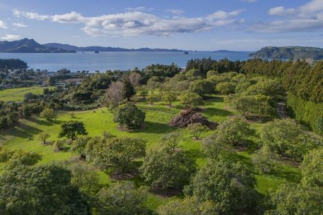 Photo of property in 899f Purangi Road, Cooks Beach, Whitianga, 3591