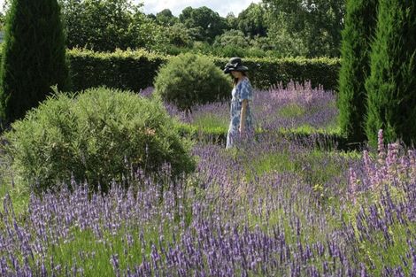 Photo of property in Tuhitarata Homestead, 2337 Kahutara Road, Pirinoa, Featherston, 5772