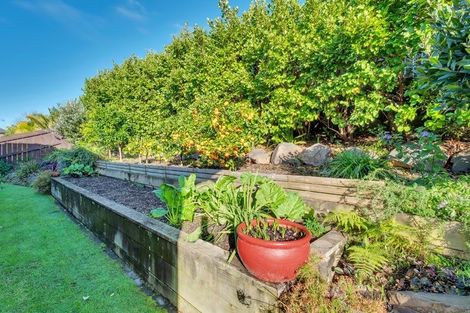 Photo of property in 214 Carmichael Road, Bethlehem, Tauranga, 3110