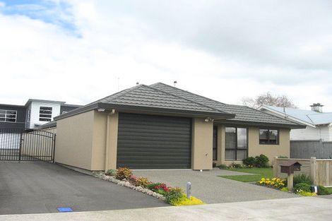 Photo of property in 114 Linton Street, West End, Palmerston North, 4410