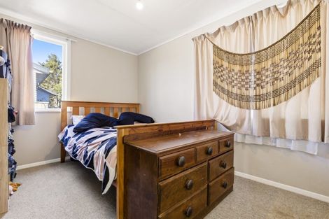 Photo of property in 66 Rota Street, Turangi, 3334