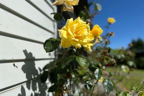 Photo of property in 19 Scott Street, Tuatapere, 9620