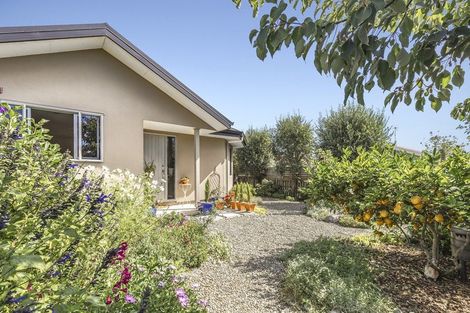 Photo of property in 14 Phoebe Place, Richmond, 7020