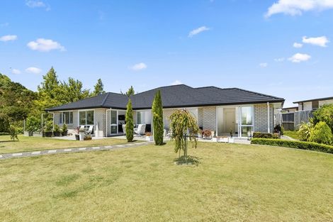 Photo of property in 14 North Bay Road, Pyes Pa, Tauranga, 3112