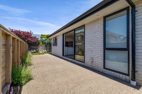 Photo of property in 39a South Road, Blagdon, 4310