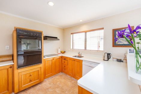 Photo of property in 483b Ruahine Street, Terrace End, Palmerston North, 4410