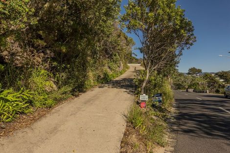 Photo of property in 1067 Purangi Road, Ferry Landing, Whitianga, 3591