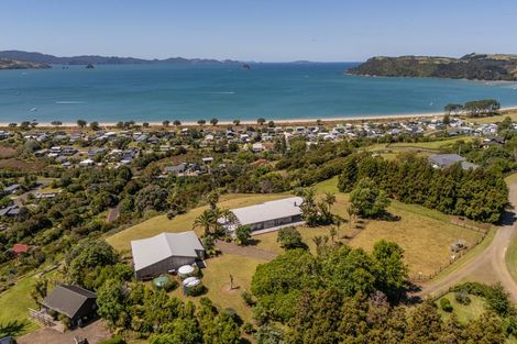 Photo of property in 899e Purangi Road, Cooks Beach, Whitianga, 3591