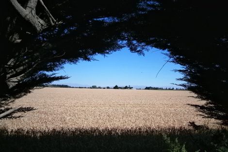 Photo of property in 17 Highfield Avenue, Dunsandel, 7682