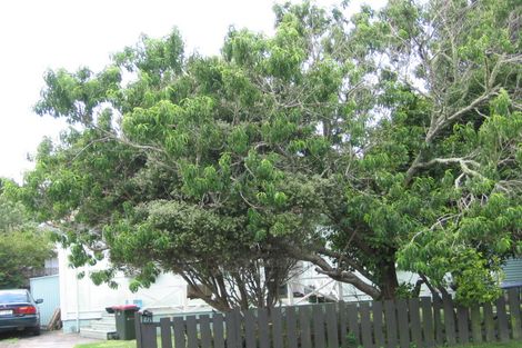 Photo of property in 48 Hargest Terrace, Mount Albert, Auckland, 1025