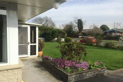 Photo of property in 41 Raxworthy Street, Ilam, Christchurch, 8041