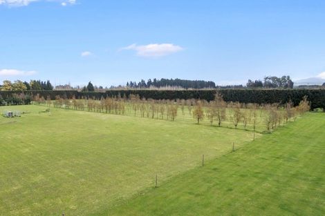 Photo of property in 2/2546 Wards Road, Darfield, 7571