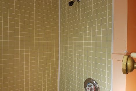 Photo of property in 123 Ferguson Street, West End, Palmerston North, 4412