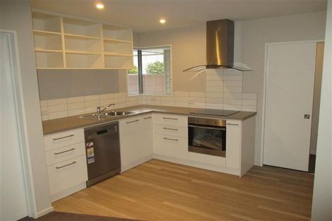 Photo of property in 57b Champion Street, Edgeware, Christchurch, 8013