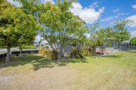 Photo of property in 48 Ashworth Street, Alexandra, 9320