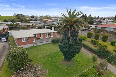 Photo of property in 22 Reservoir Street, Putaruru, 3411