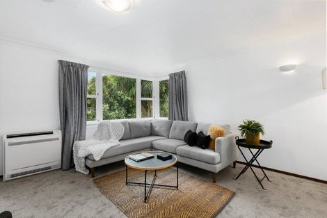 Photo of property in 49 Pacific Street, Roslyn, Dunedin, 9010