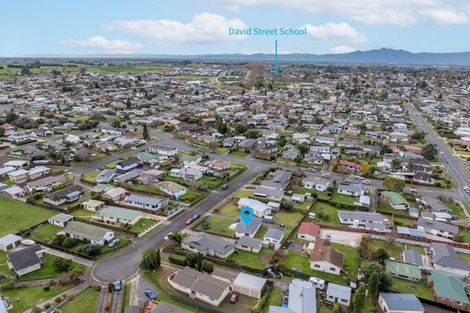 Photo of property in 5 Gummer Place, Morrinsville, 3300