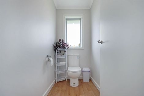 Photo of property in 45 Redhaven Rise, Netherby, Ashburton, 7700