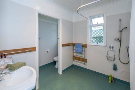 Photo of property in 84 Macarthur Street, Levin, 5510