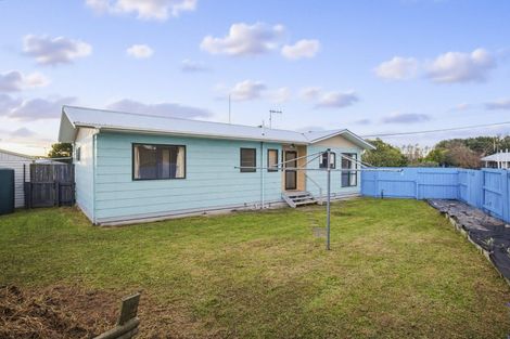 Photo of property in 23 Douglas Street, Levin, 5510