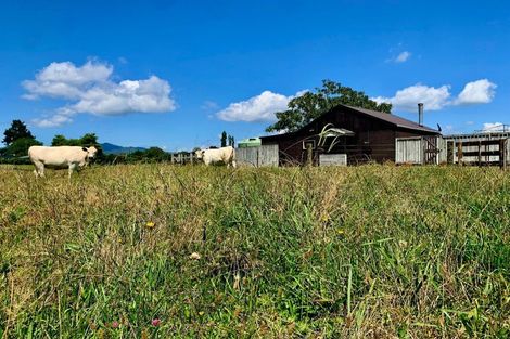 Photo of property in 19 Lerwick Lane, Nukuhou, 3196