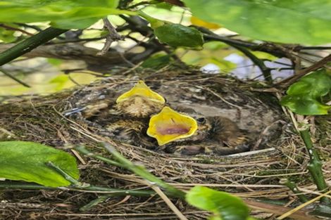 Photo of property in 46 The Drive, Paraparaumu Beach, Paraparaumu, 5032