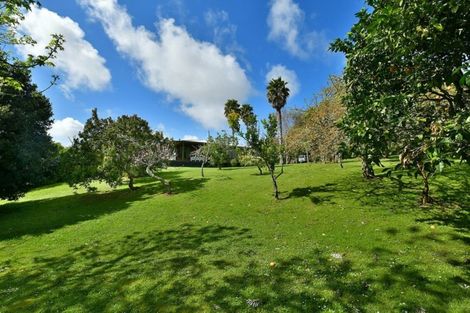 Photo of property in 115 Shelly Beach Road, Shelly Beach, Helensville, 0874