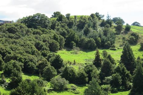 Photo of property in 239 Taratara Road, Kaeo, 0479