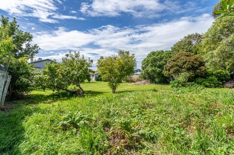 Photo of property in 95 Martin Street, Strathern, Invercargill, 9812