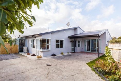 Photo of property in 135a Heretaunga Street, Palmerston North, 4414