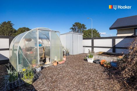 Photo of property in 248 Hillhead Road, Corstorphine, Dunedin, 9012