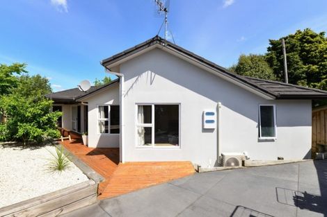 Photo of property in 12 Albert Street, Hamilton East, Hamilton, 3216
