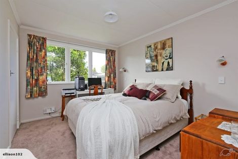 Photo of property in 3 Worcester Street, Taradale, Napier, 4112