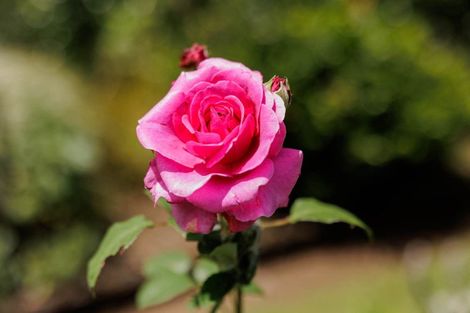 Photo of property in 482 Puketotara Road, Waipapa, Kerikeri, 0295