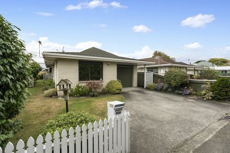 Photo of property in 332e Featherston Street, Palmerston North, 4414
