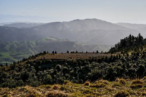 Photo of property in 850a Paekakariki Hill Road, Paekakariki Hill, Porirua, 5381