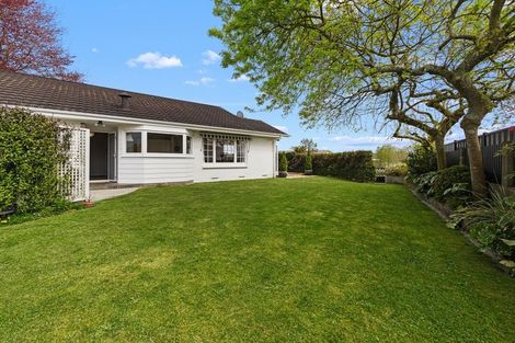 Photo of property in 14 Marchant Street, Putaruru, 3411