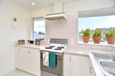 Photo of property in 63 Malcolm Avenue, Beckenham, Christchurch, 8023