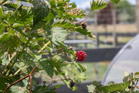 Photo of property in 26c Kauri Lane, Huntly, 3771